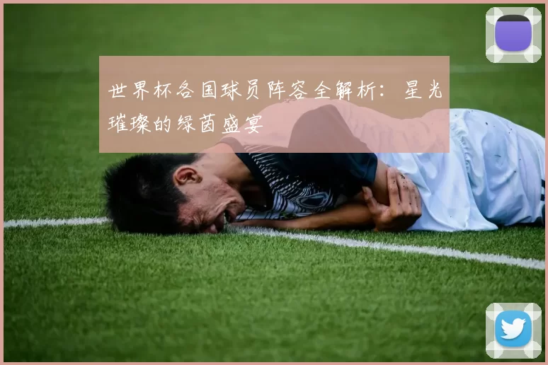 世界杯各国球员阵容全解析：星光璀璨的绿茵盛宴