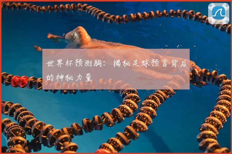 世界杯预测胸:揭秘足球预言背后的神秘力量