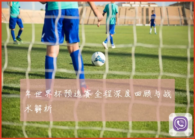 年世界杯预选赛全程深度回顾与战术解析