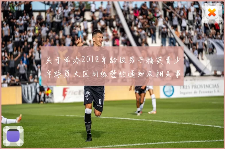 关于举办2012年龄段男子精英青少年球员大区训练营的通知及相关事项说明