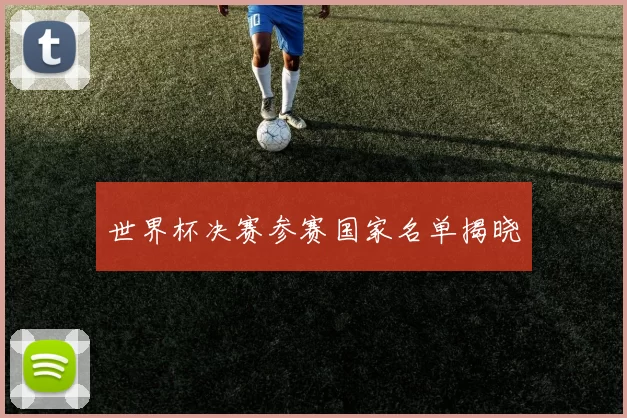 世界杯决赛参赛国家名单揭晓