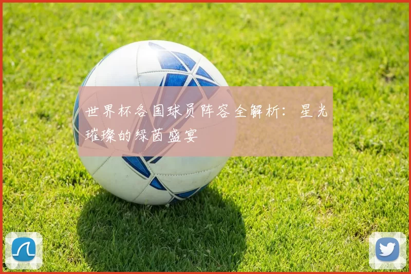 世界杯各国球员阵容全解析：星光璀璨的绿茵盛宴