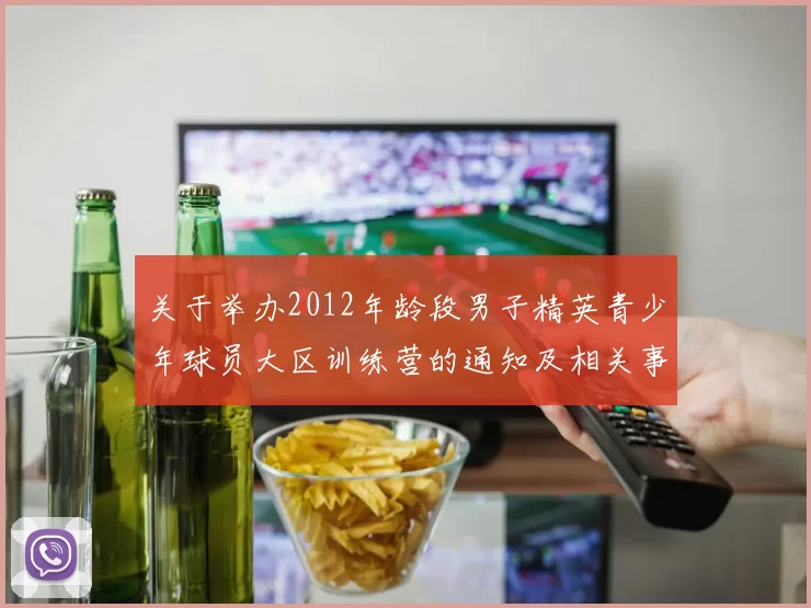 关于举办2012年龄段男子精英青少年球员大区训练营的通知及相关事项说明
