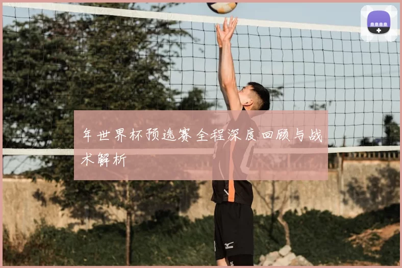 年世界杯预选赛全程深度回顾与战术解析